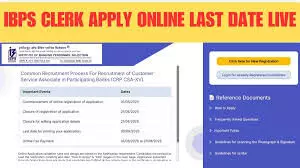 IBPS Clerk Recruitment 2025: Registration Deadline Extended Till August 28 For 10,277 Vacancies