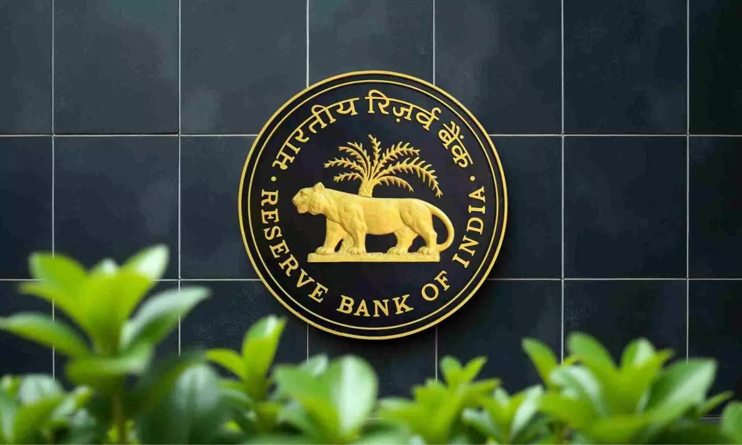 Experts favor RBI’s free-AI committee report Experts favor RBI’s free-AI committee report