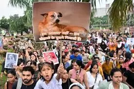 Supreme Court Eases Stray Dog Order, Allows Release After Sterilisation and Vaccination Supreme Court Eases Stray Dog Order, Allows Release After Sterilisation and Vaccination