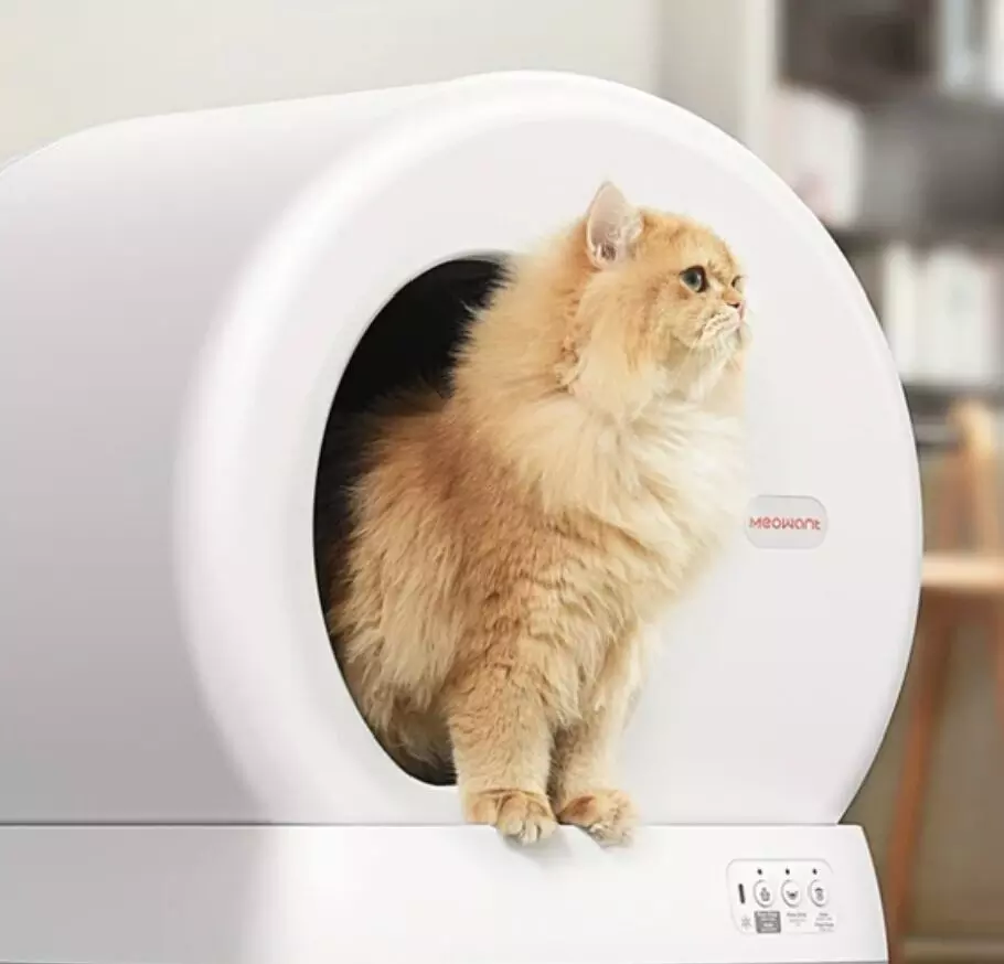 Simplify Cat Care with Self Cleaning Litter Box Schedules Simplify Cat Care with Self Cleaning Litter Box Schedules