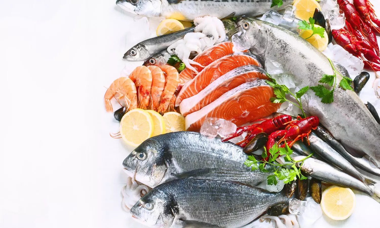 Indias seafood exports stand at USD 7.45 billion in 2024-25: MPEDA Indias seafood exports stand at USD 7.45 billion in 2024-25: MPEDA
