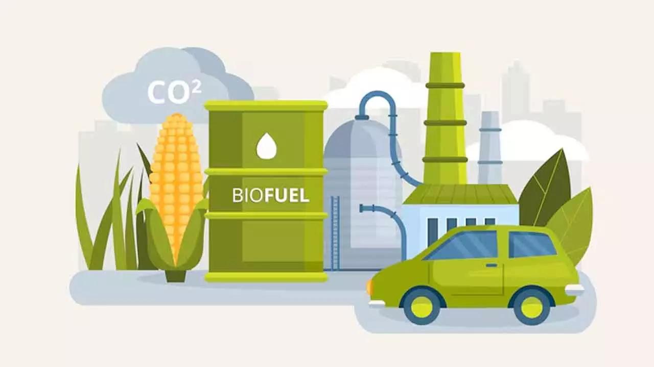 Ethanol vs. Advanced Biofuels → Which Options Deliver Better Efficiency and Lower Emissions?