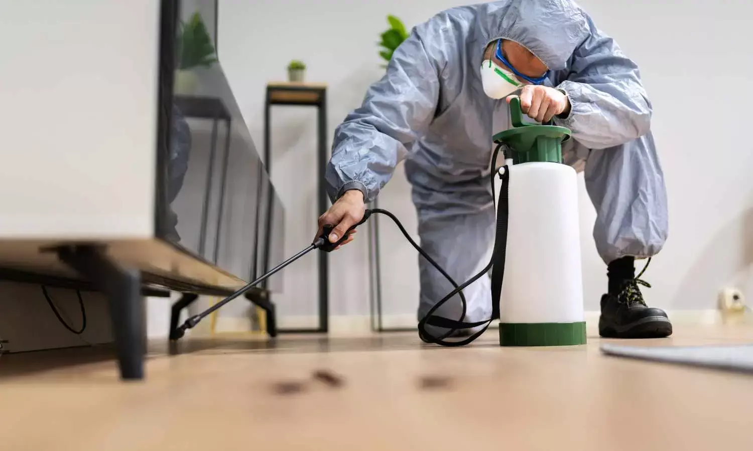 New Jersey Pest Control: Your Complete Guide to Year-Round Protection