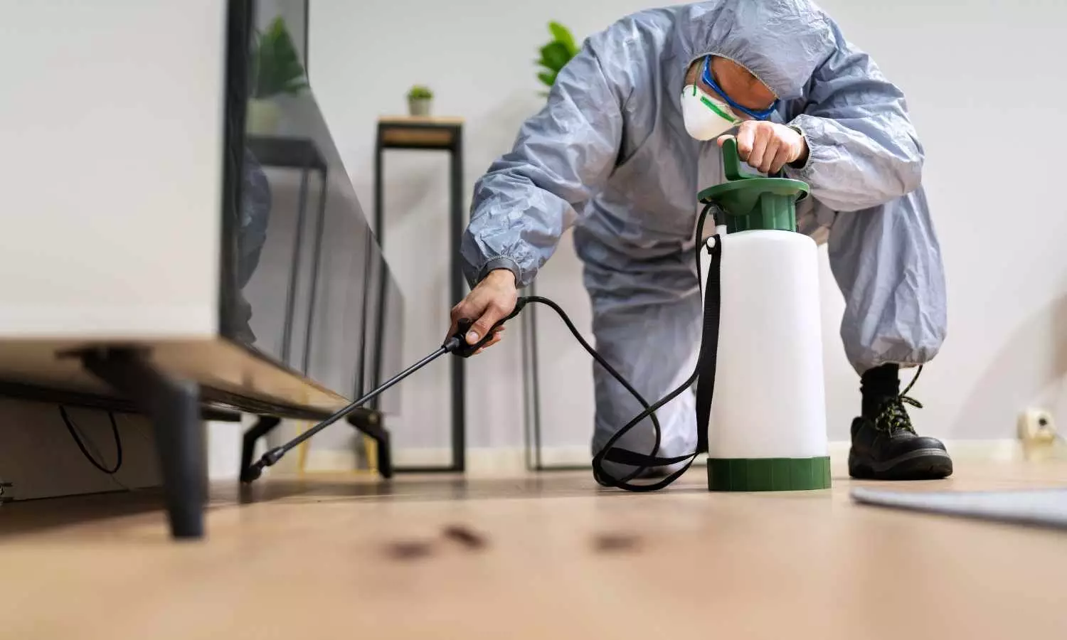 New Jersey Pest Control: Your Complete Guide to Year-Round Protection New Jersey Pest Control: Your Complete Guide to Year-Round Protection