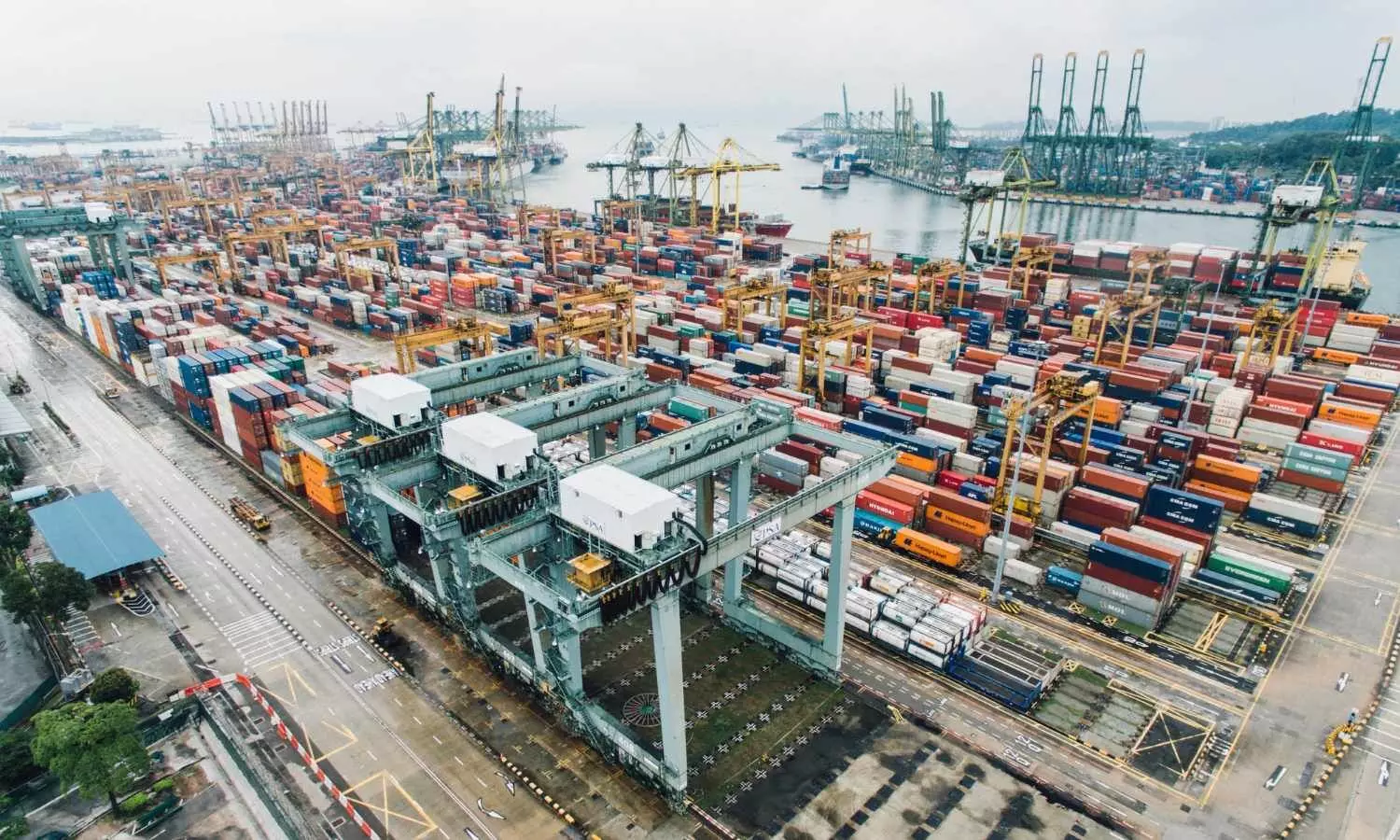 Indian govt may help exporters cushion impact