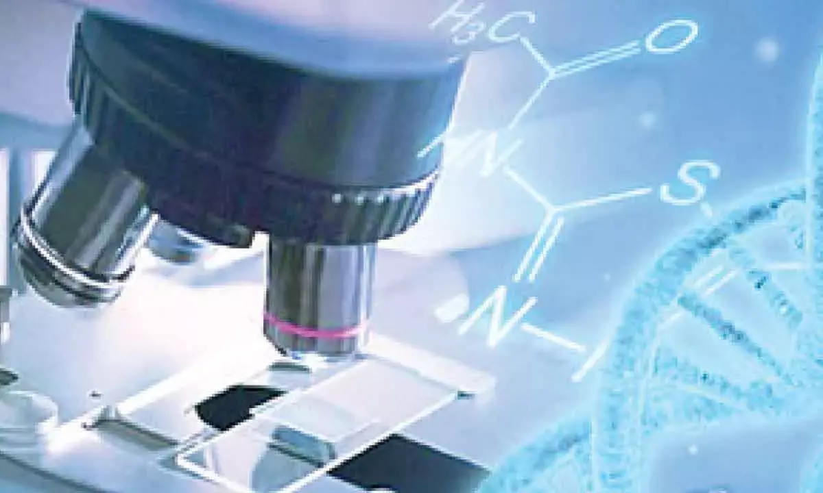 India emerging as life sciences GCC hub, to enhance drug discovery, compliance: Report
