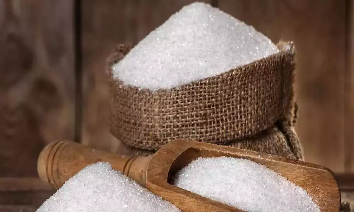 Sugar stocks turn sweeter;  Rajshree Sugars zooms 20%