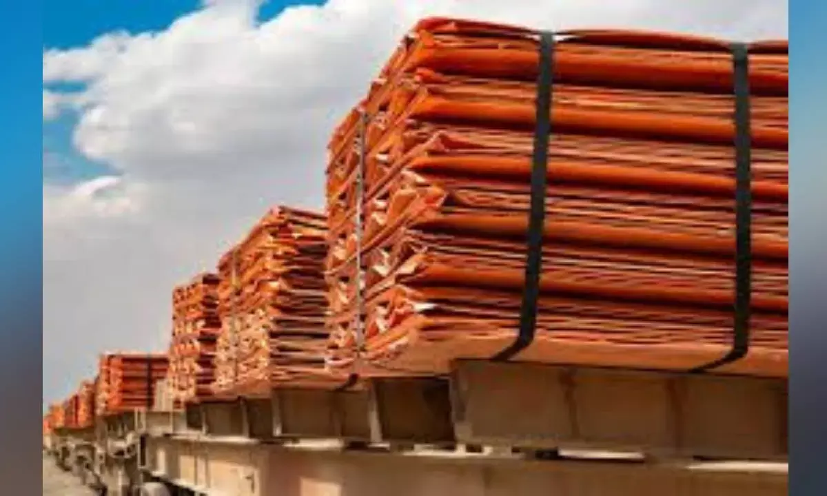 India seeks WTO consultations with US over 50% on copper