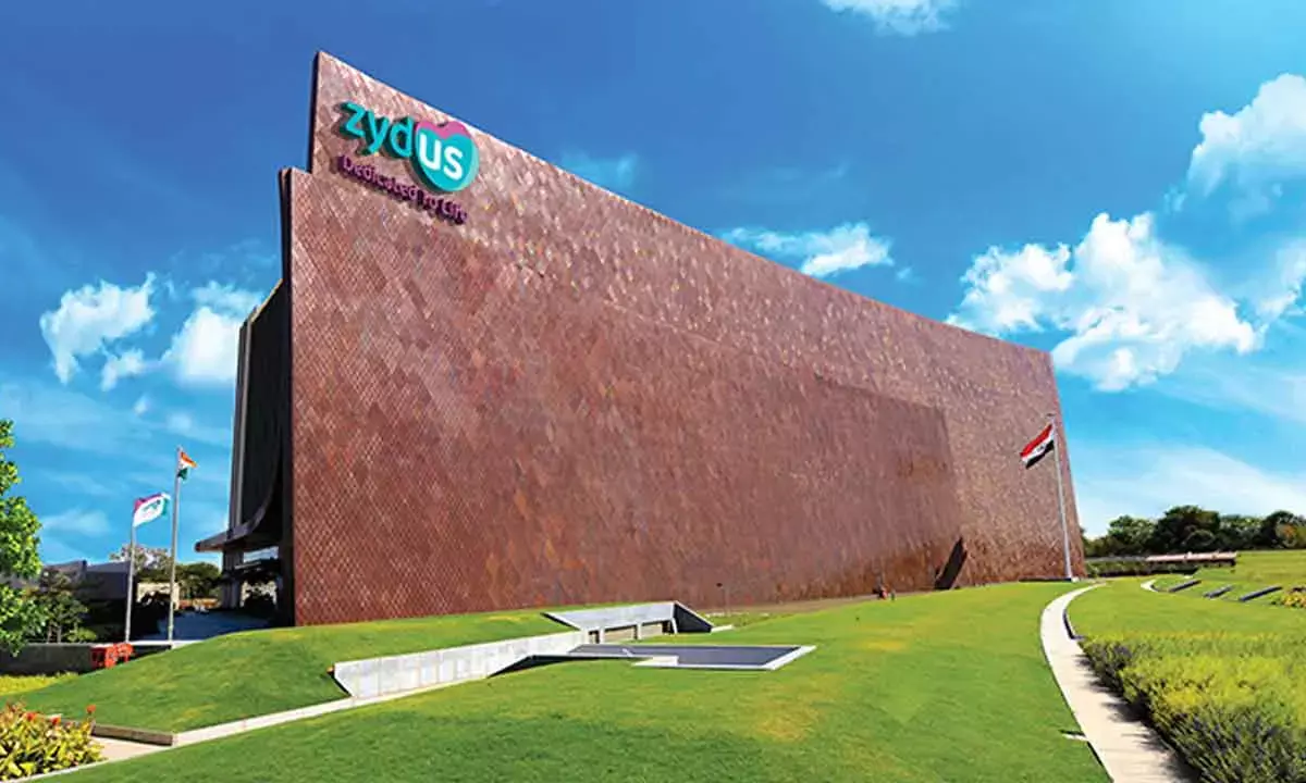 Zydus launches India’s first trivalent flu vax