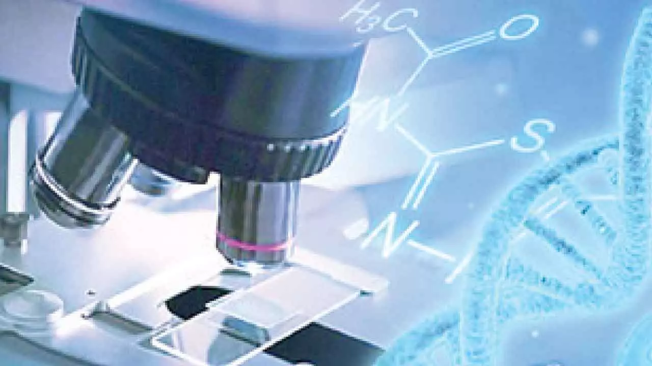 India emerging as life sciences GCC hub, to enhance drug discovery, compliance: Report India emerging as life sciences GCC hub, to enhance drug discovery, compliance: Report