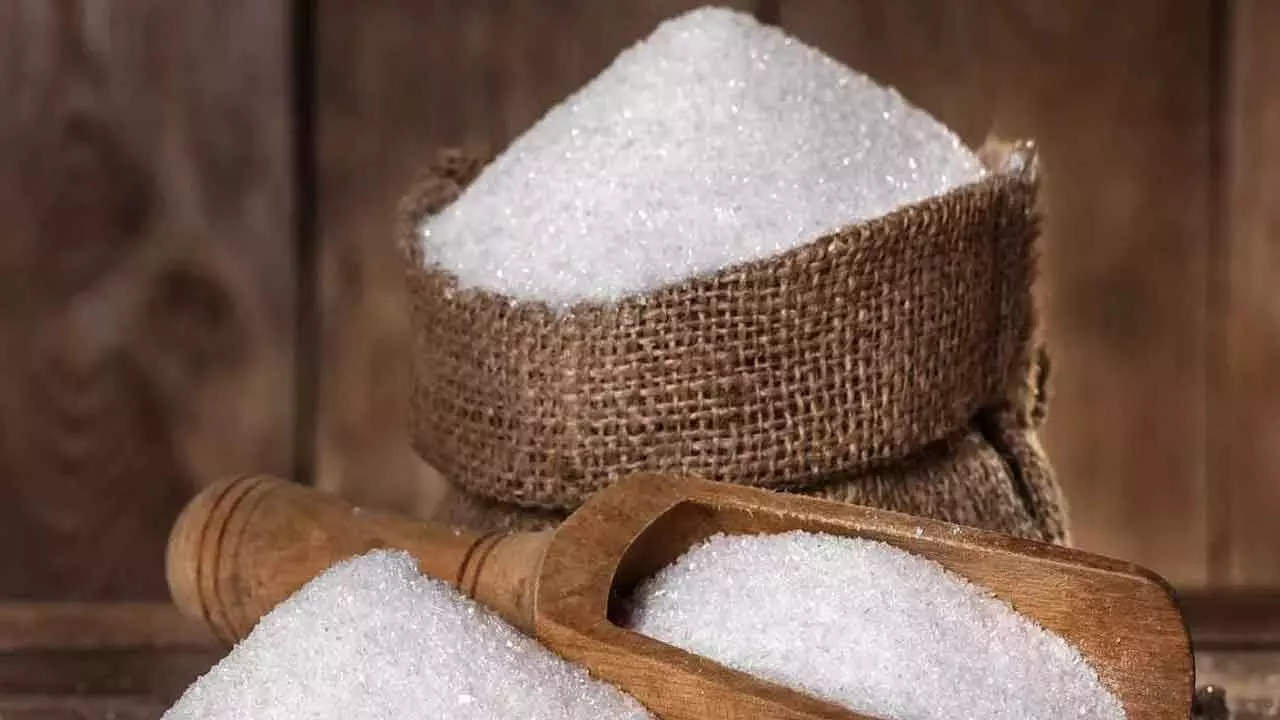 Sugar stocks turn sweeter; Rajshree Sugars zooms 20% Sugar stocks turn sweeter; Rajshree Sugars zooms 20%