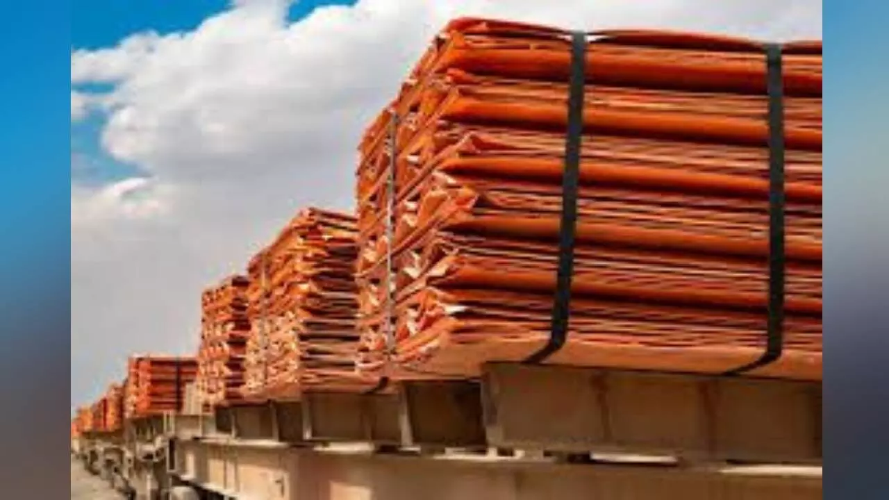 India seeks WTO consultations with US over 50% on copper India seeks WTO consultations with US over 50% on copper