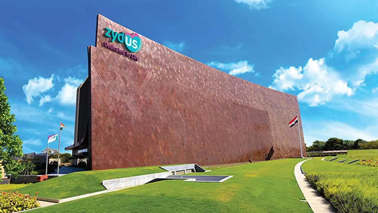Zydus launches India’s first trivalent flu vax Zydus launches India’s first trivalent flu vax