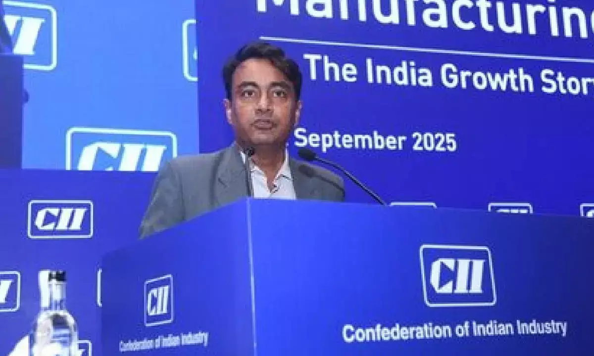 Govt forms panel for mfg promotion