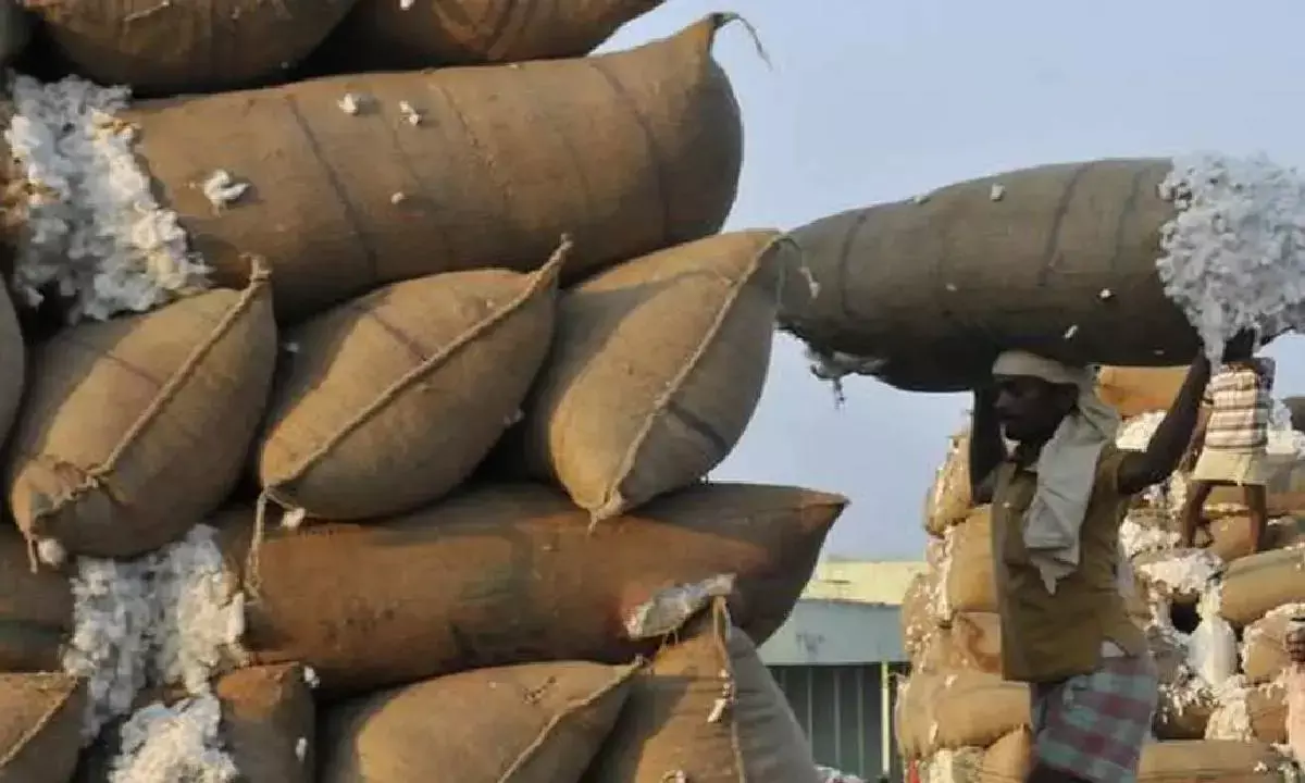 Ahead of Kharif season, Textiles Minister assesses cotton procurement