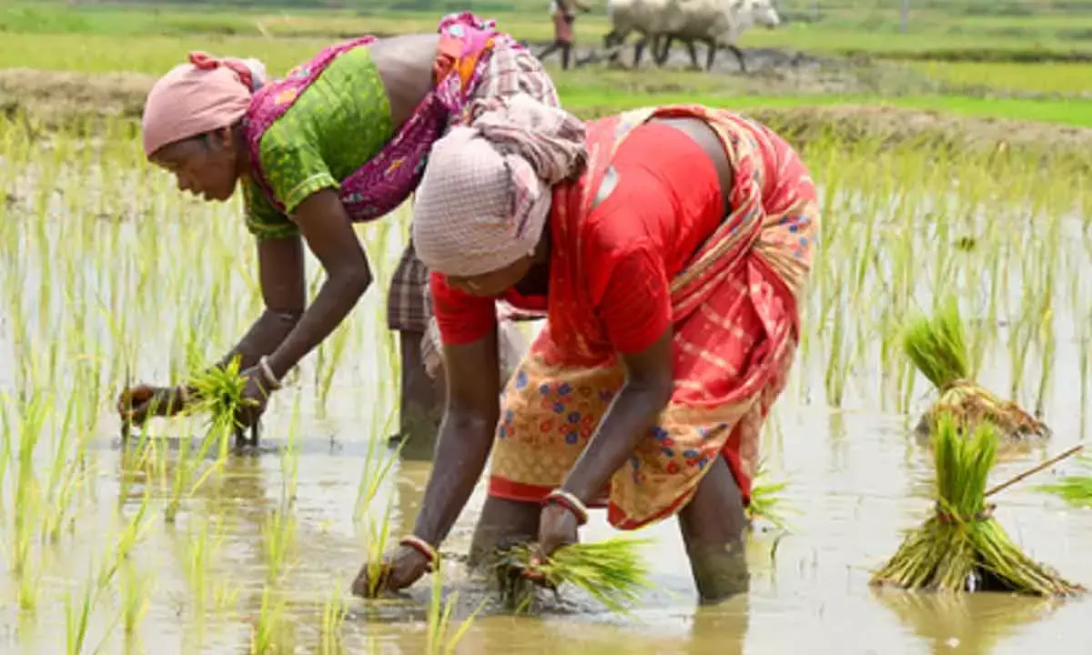 Bharati to empower 100 agri-food startups, targets $50 billion exports by 2030