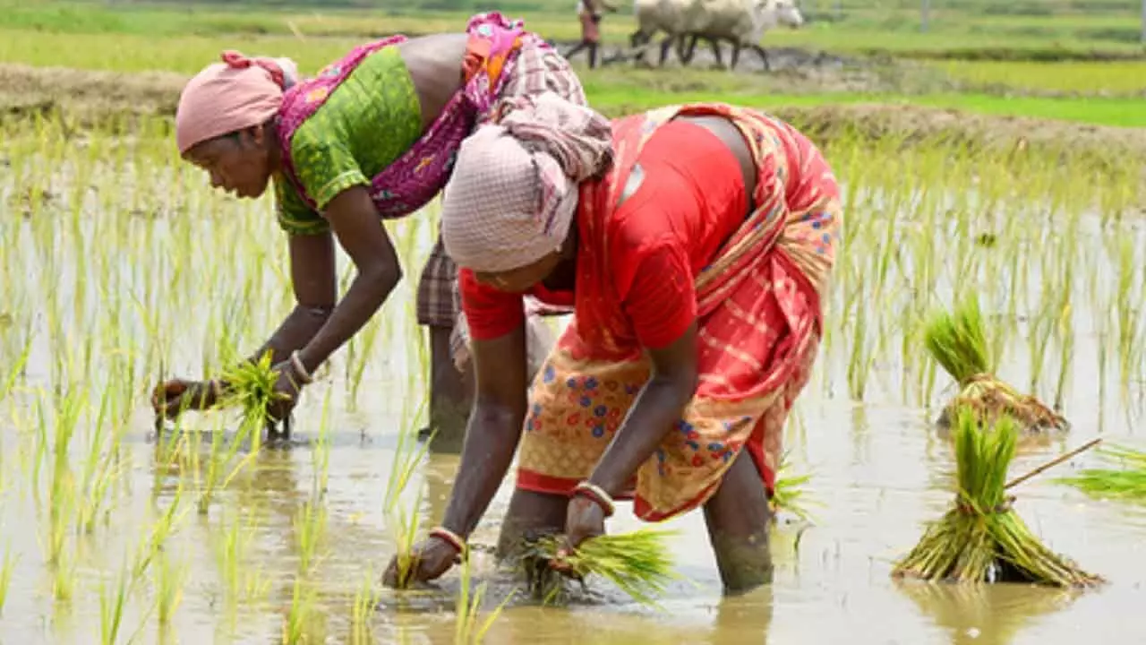 Bharati to empower 100 agri-food startups, targets $50 billion exports by 2030 Bharati to empower 100 agri-food startups, targets $50 billion exports by 2030