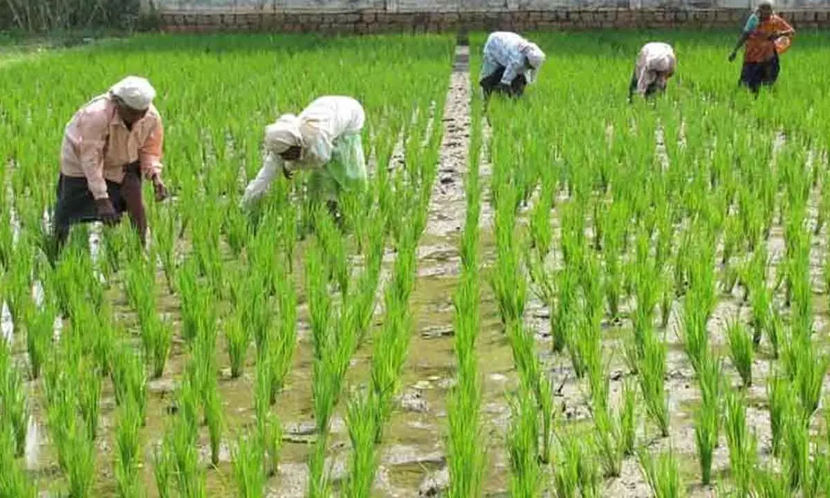 How GST rate rejig is going to boost businesses, empower common man