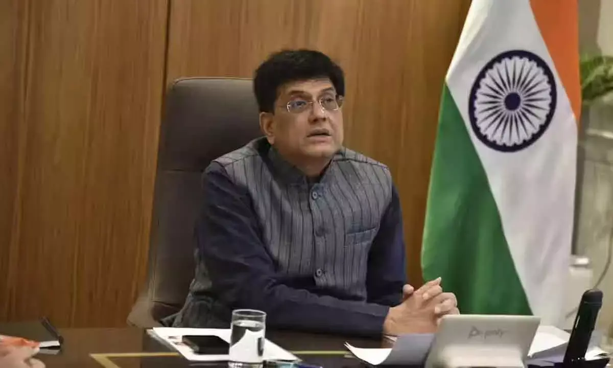 Goyal calls for collective effort of Global South