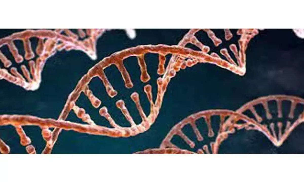 How environmental RNA can give us real-time picture of freshwater biodiversity