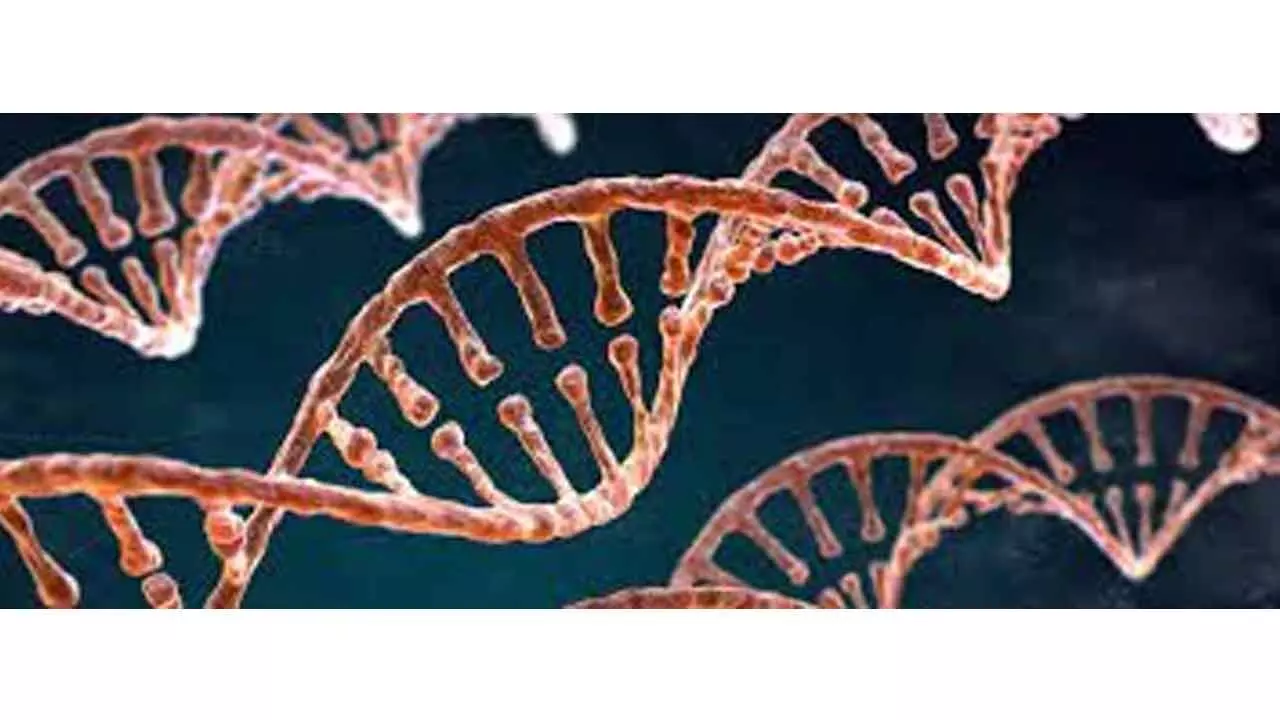 How environmental RNA can give us real-time picture of freshwater biodiversity