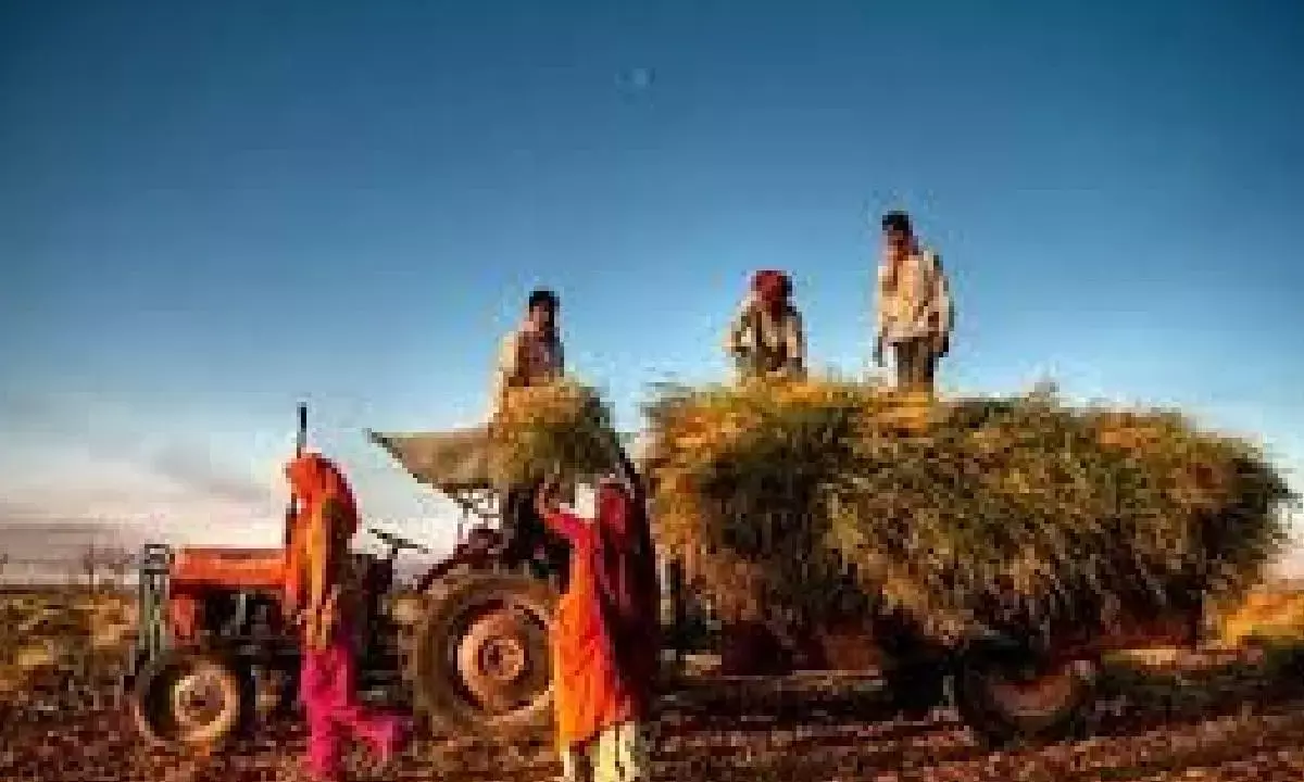 US tariffs: India committed to protect farmers, MSMEs, say govt sources