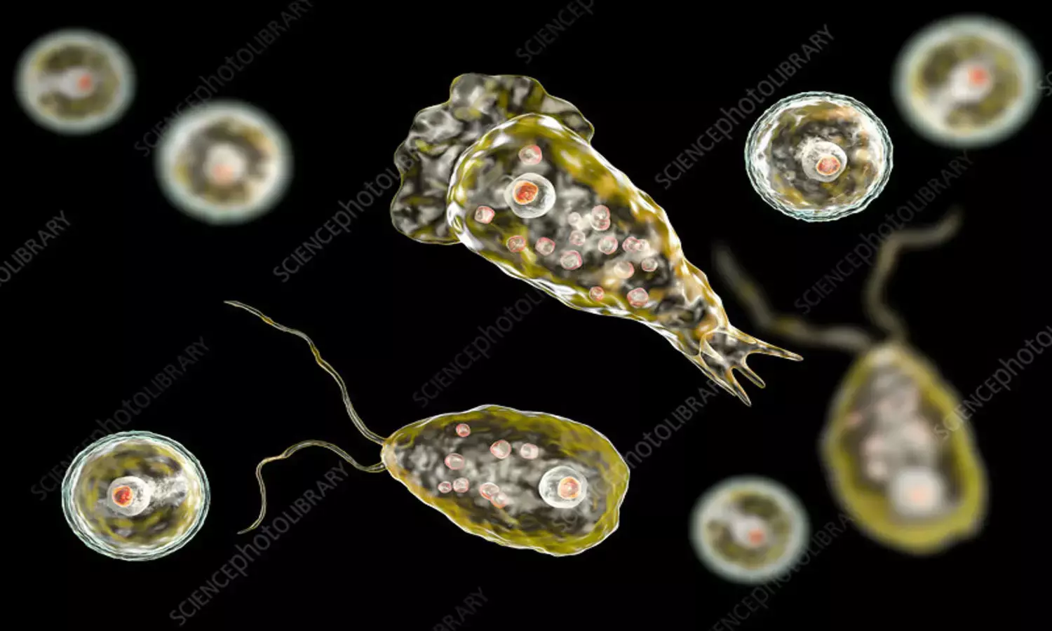 Kerala Reports Rare Brain-Eating Amoeba Deaths: What You Must Know