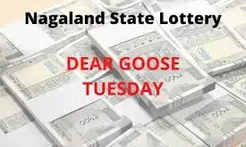 Nagaland Sambad Lottery Dear Goose: September 9, 8 PM Results Announced