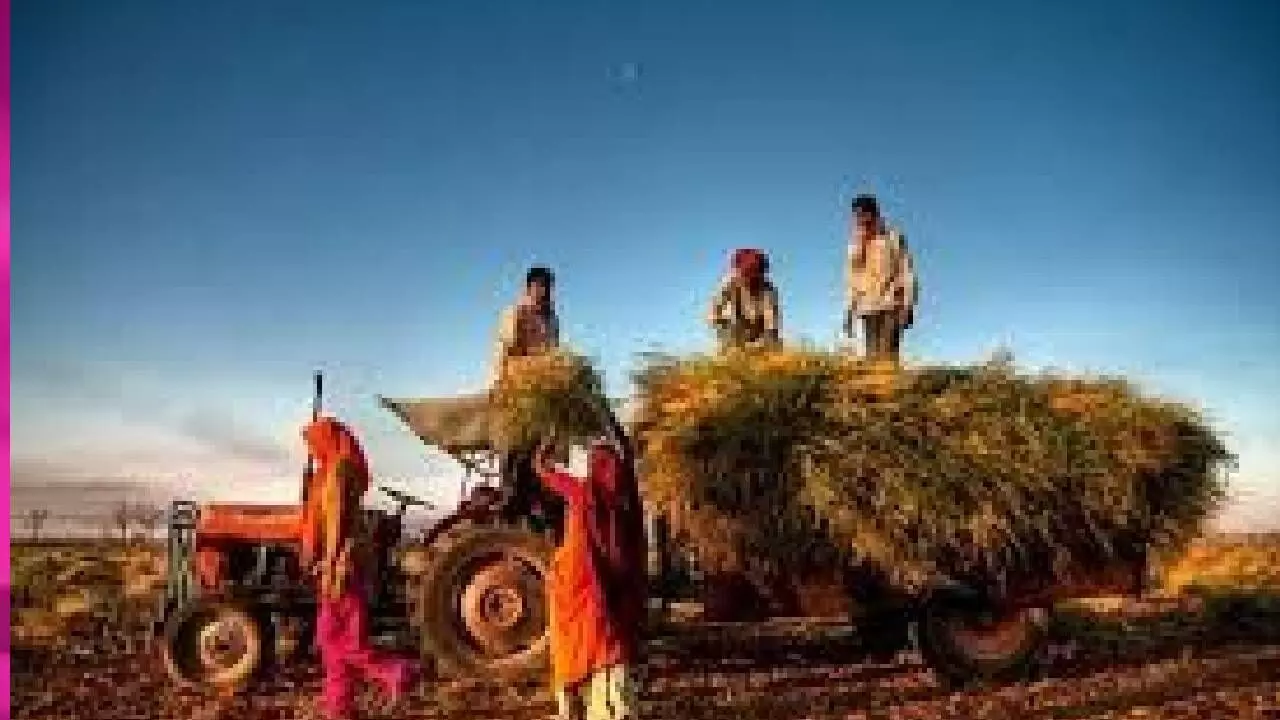 US tariffs: India committed to protect farmers, MSMEs, say govt sources