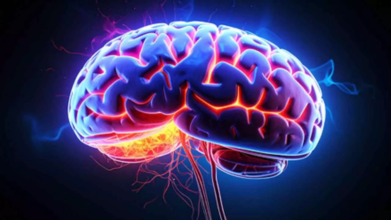 Kerala woman succumbs brain-eating amoebic infection Kerala woman succumbs brain-eating amoebic infection