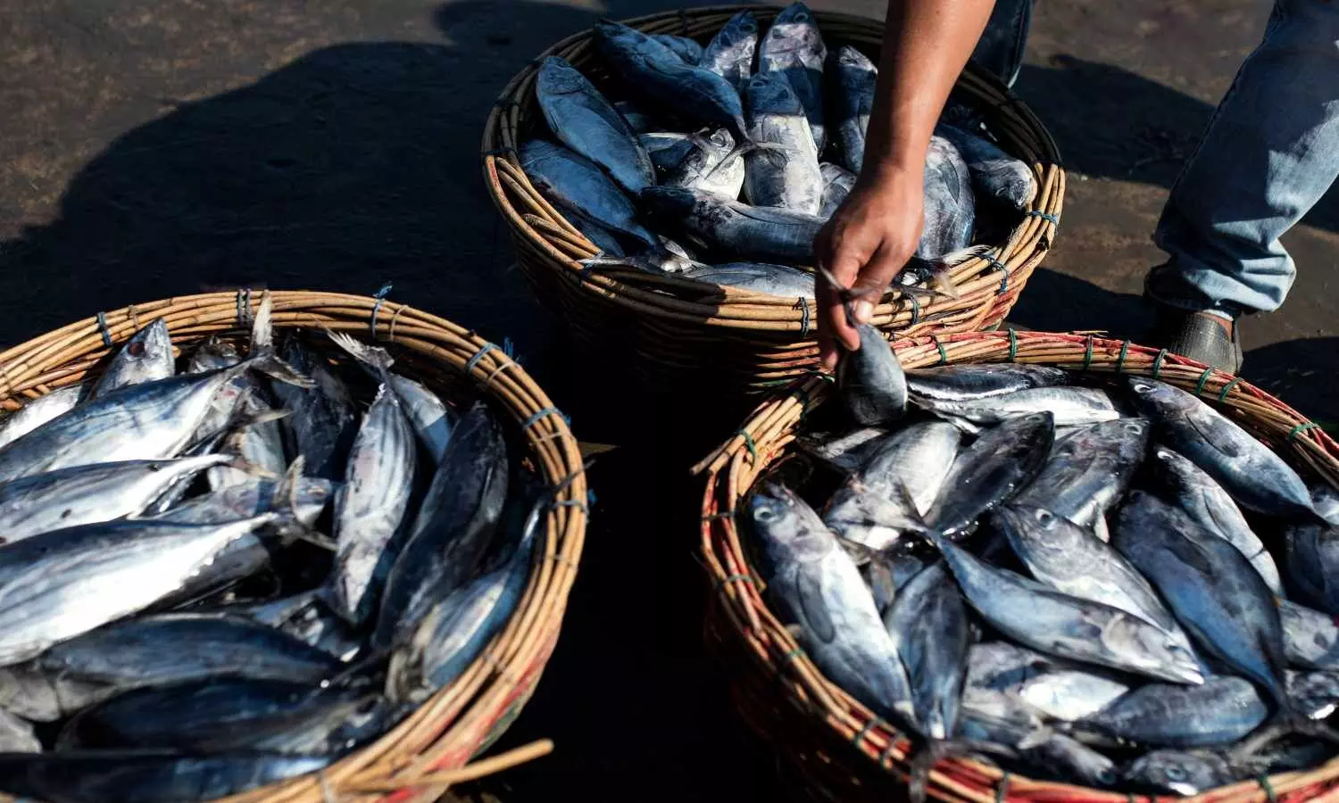 ICAR workshop on gear-marking for fisheries sector