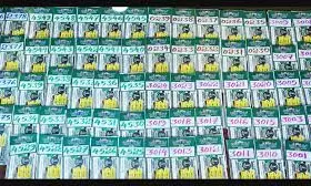 Kerala Lottery Result Today 10.09.2025 LIVE: Dhanalekshmi DL-17 Wednesday Bumper Draw Declared – First Prize ₹1 Crore