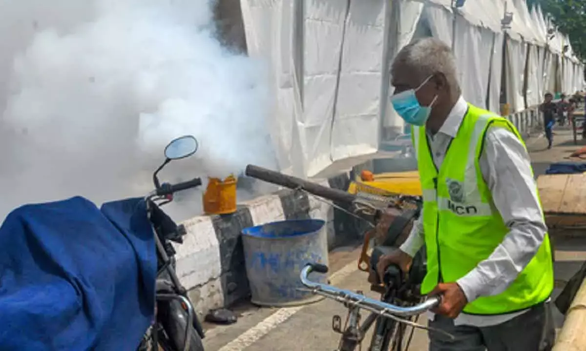 Warming climate can shoot up dengue cases across Asia, Americas: Study