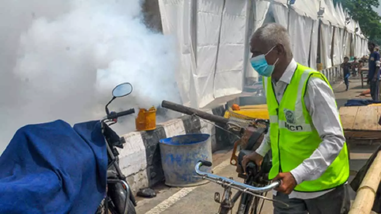 Warming climate can shoot up dengue cases across Asia, Americas: Study Warming climate can shoot up dengue cases across Asia, Americas: Study