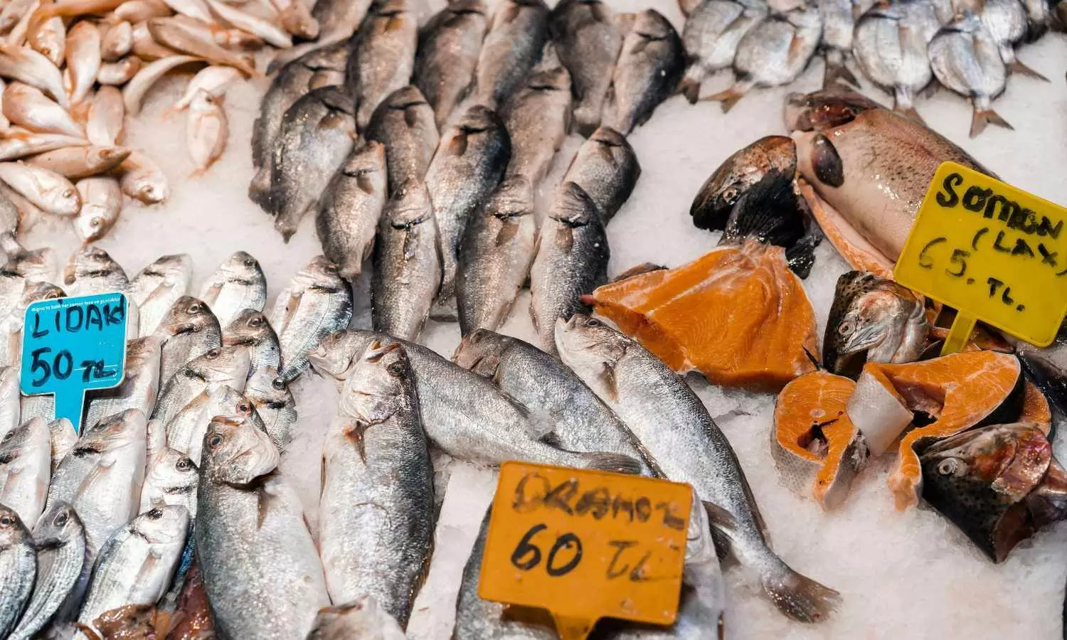 Big relief for seafood exporters with EU deciding to allow more fishery units