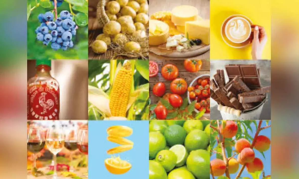 How our minds trick us into thinking we are being greener than we really are