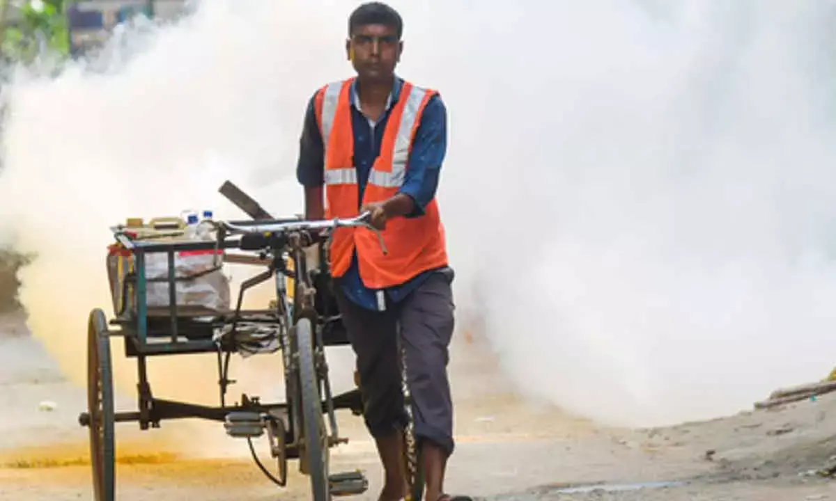 Govt advisory to states to increase measures against dengue, malaria