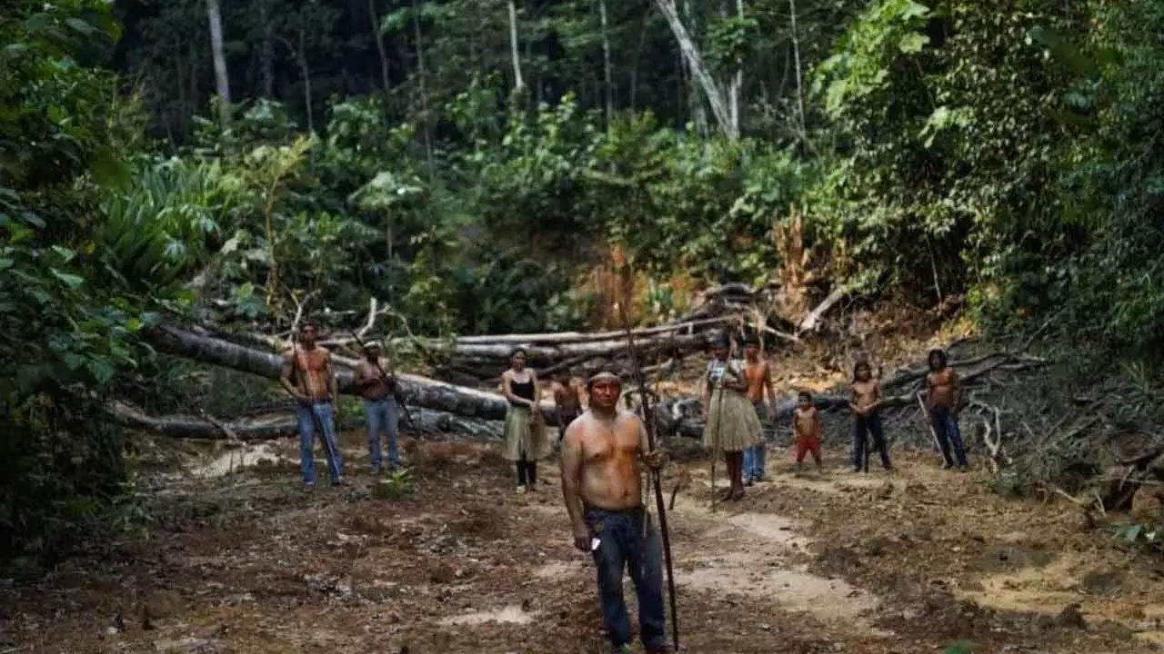 Well-preserved Amazon rainforest on indigenous lands can protect people from diseases, says study Well-preserved Amazon rainforest on indigenous lands can protect people from diseases, says study