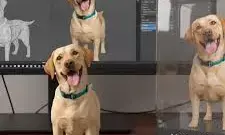 Nano-Banana AI Trend Pushes Google Gemini Ahead of ChatGPT on iOS & Android