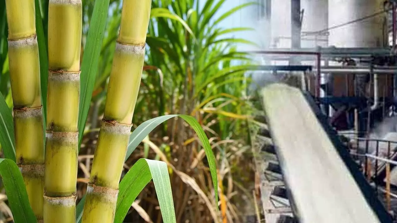 Sugar industry survived due to use of ethanol: Gadkari Sugar industry survived due to use of ethanol: Gadkari