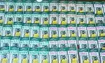 Kerala Lottery Result Today (16-09-2025): Sthree Sakthi SS-485 Draw Declared, 1 Crore First Prize Winner Announced