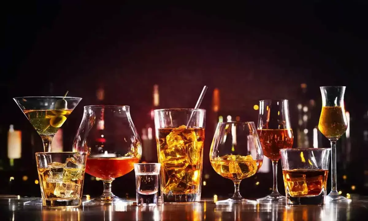Understanding the Alcobev industry resilience
