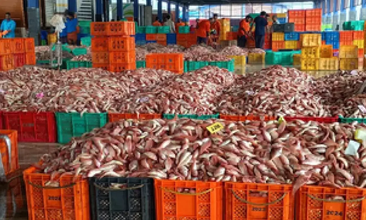 FAO, Bay of Bengal nations plan for small scale fisheries