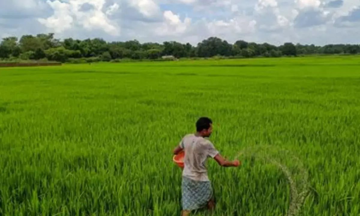 India ahead with AI-driven forecasts in helping farmers