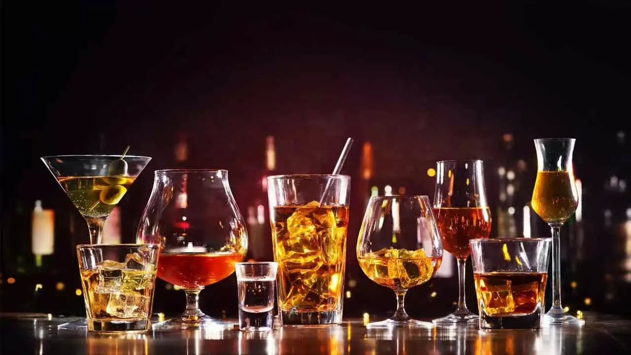Understanding the Alcobev industry resilience Understanding the Alcobev industry resilience