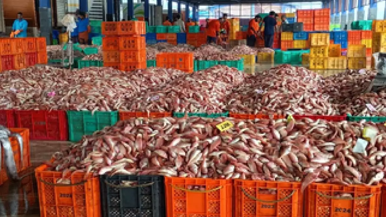 FAO, Bay of Bengal nations plan for small scale fisheries FAO, Bay of Bengal nations plan for small scale fisheries