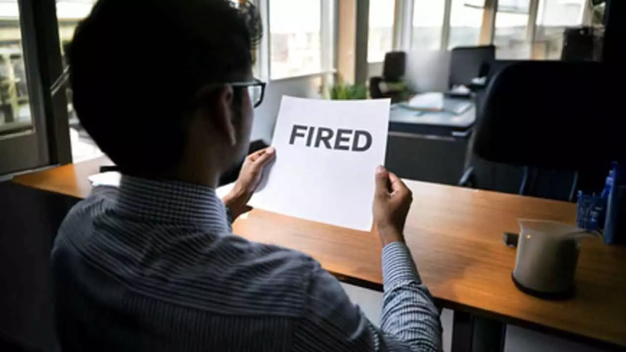 Google lays off over 200 AI contractors: WIRED report