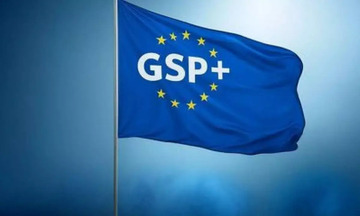 ‘EU leaders need to relook at GSP+ trade status for Pakistan’