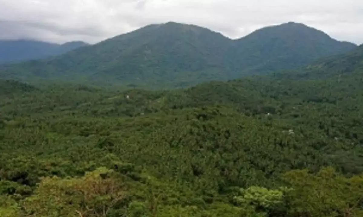 Steady decline in the countrys forest health: IIT Kgp study