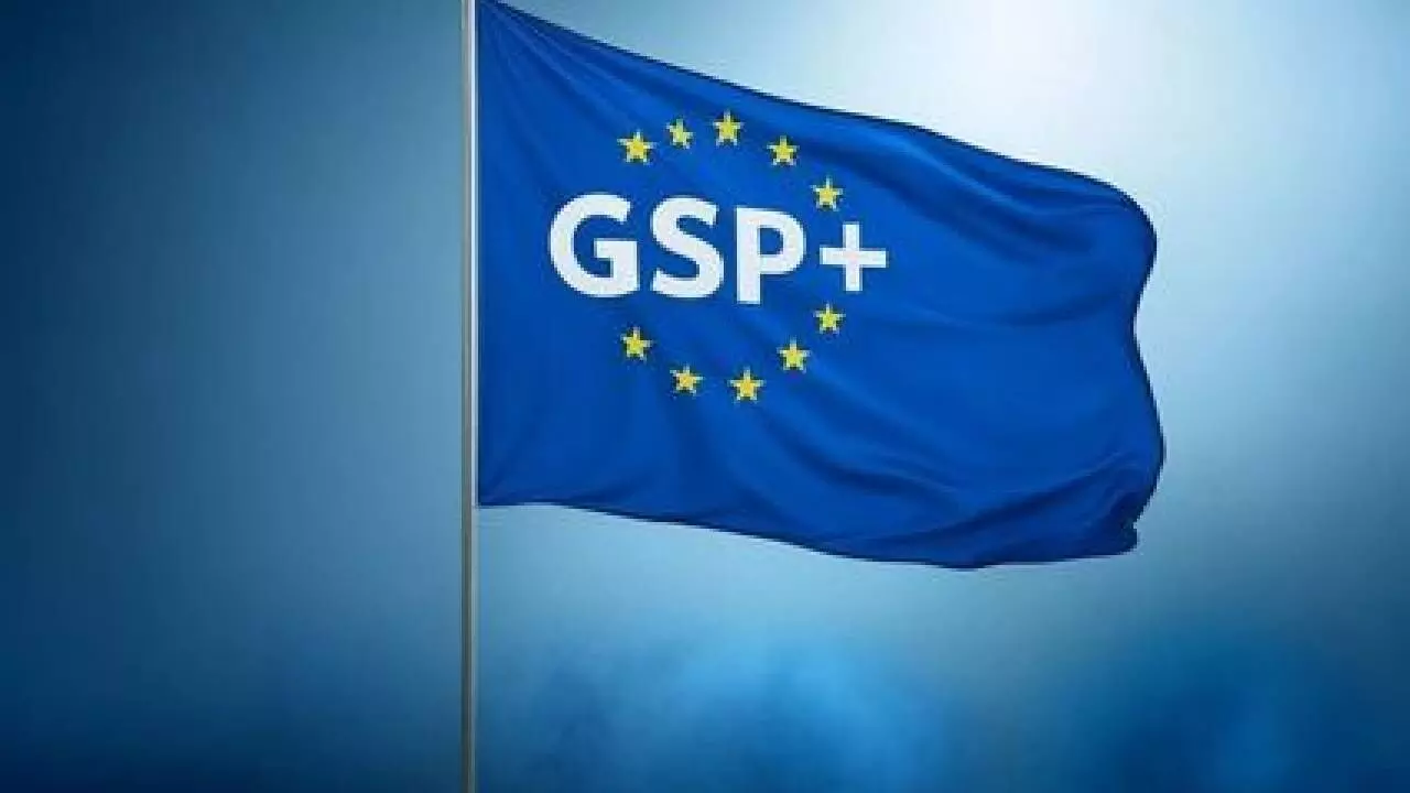 ‘EU leaders need to relook at GSP+ trade status for Pakistan’